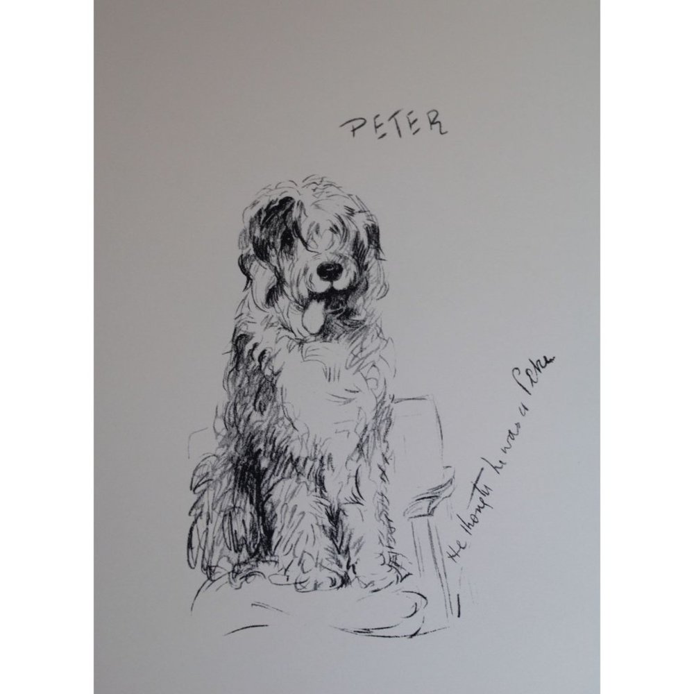 Lucy Dawson Dog Print Sheepdog Fox Hound 90686
